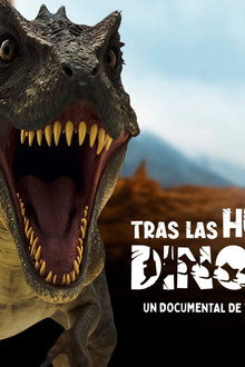 Tras las Huellas de un Dinosaurio