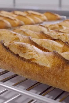 Du pain coûte que croûte