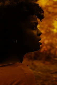 A Song from the Dark