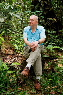 Attenborough: 60 Years in the Wild
