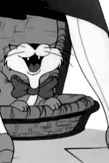 Puss n' Booty