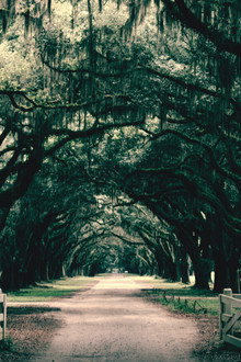 Southern Gothic