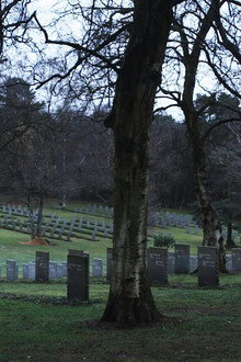 Sideworld: Haunted Forests of England
