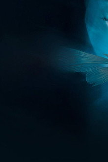 Пираньи 2: Нерест
