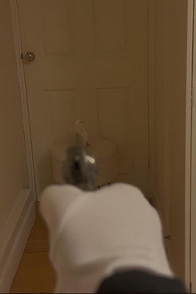 Bird, Oh Bird