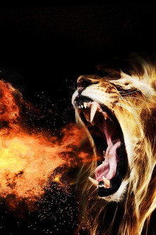Let the Lion Roar