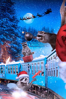Killer Raccoons 2: Dark Christmas in the Dark