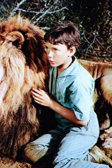 The Lion