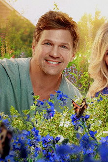 The Irresistible Blueberry Farm