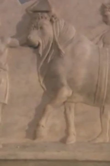 Roman Vice