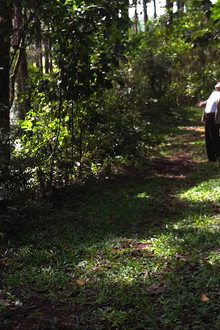Cidade Natureza