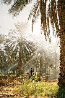 Tunisie : Une oasis dans un grain de sable