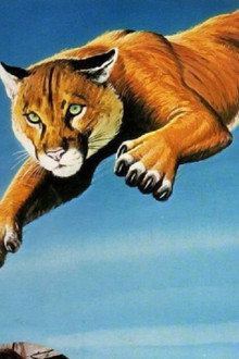 Run, Cougar, Run