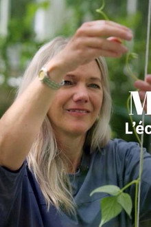Das Phänomen Maja Lunde: Klimawandel als Bestseller