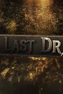The Last Dragon