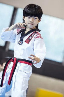 龙拳小子