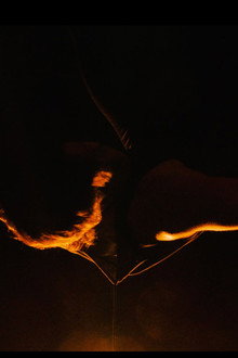 The Dancer