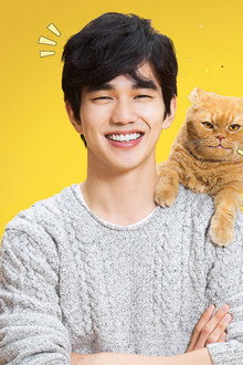 상상고양이