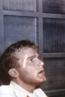Joe Palooka in the Big Fight