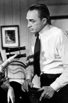 The Spy in Black