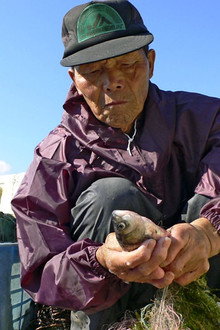 Fish! A Japanese Obsession