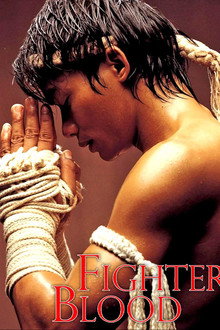 Fighters Blood