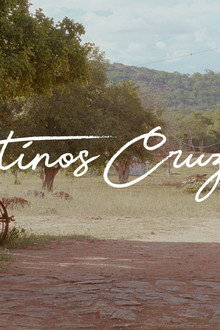 Destinos Cruzados