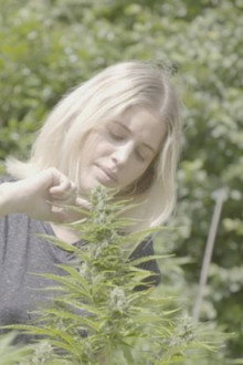 Cannabiz