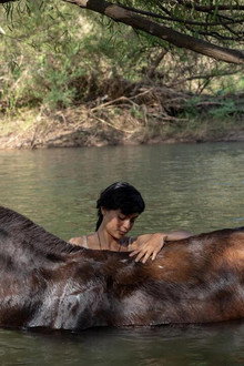 La arriera
