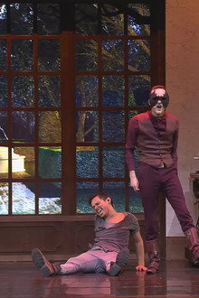Nachtwacht Show: Het Donkere Spiegelbeeld
