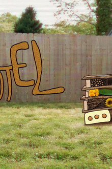 The Bug Hotel