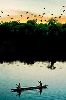 Amazônia Eterna