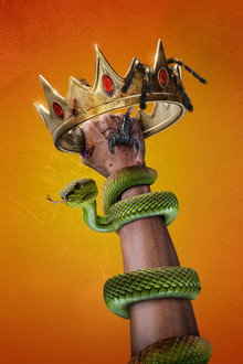 Kings of Pain