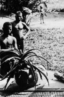 Congo: White King, Red Rubber, Black Death