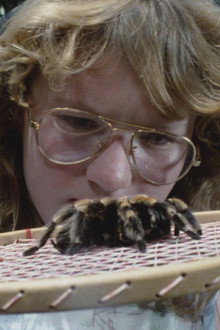 Tarantulas: The Deadly Cargo