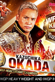 NJPW Wrestle Kingdom 14: Night 2