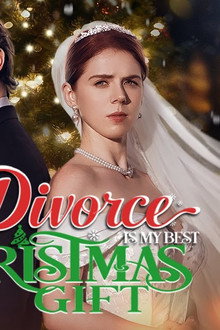 Divorce Is My Best Christmas Gift