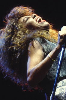 Tina Turner : Celebrate!