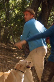 The Gold Retrievers