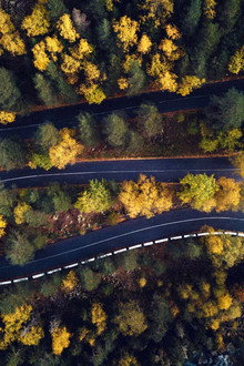 Norway and Electric Cars