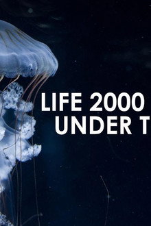 Life 2,000 Meters Under the Sea