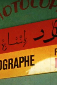 Algérie Couleurs