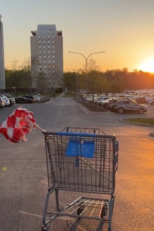 Shopping Spree