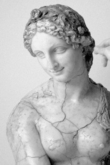 Leonardo da Vinci und die Flora-Büste