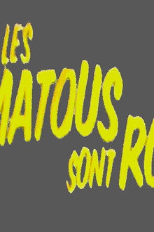Les matous sont romantiques
