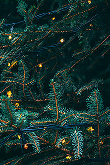 Christmas Lights