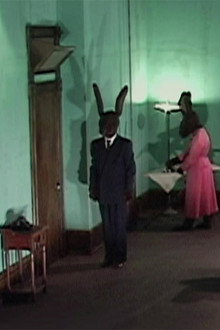 Rabbits