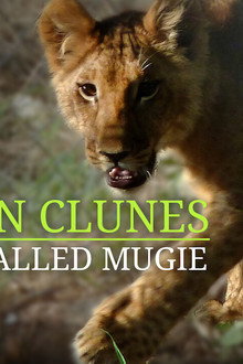 Martin Clunes & a Lion Called Mugie