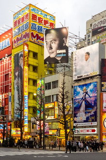 Akihabara Geeks