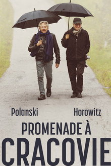 Promenade à Cracovie
